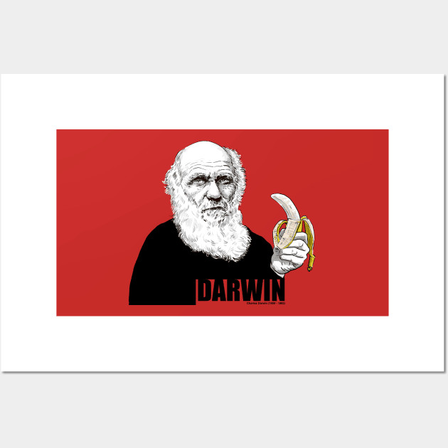 Darwin Wall Art by maxsax